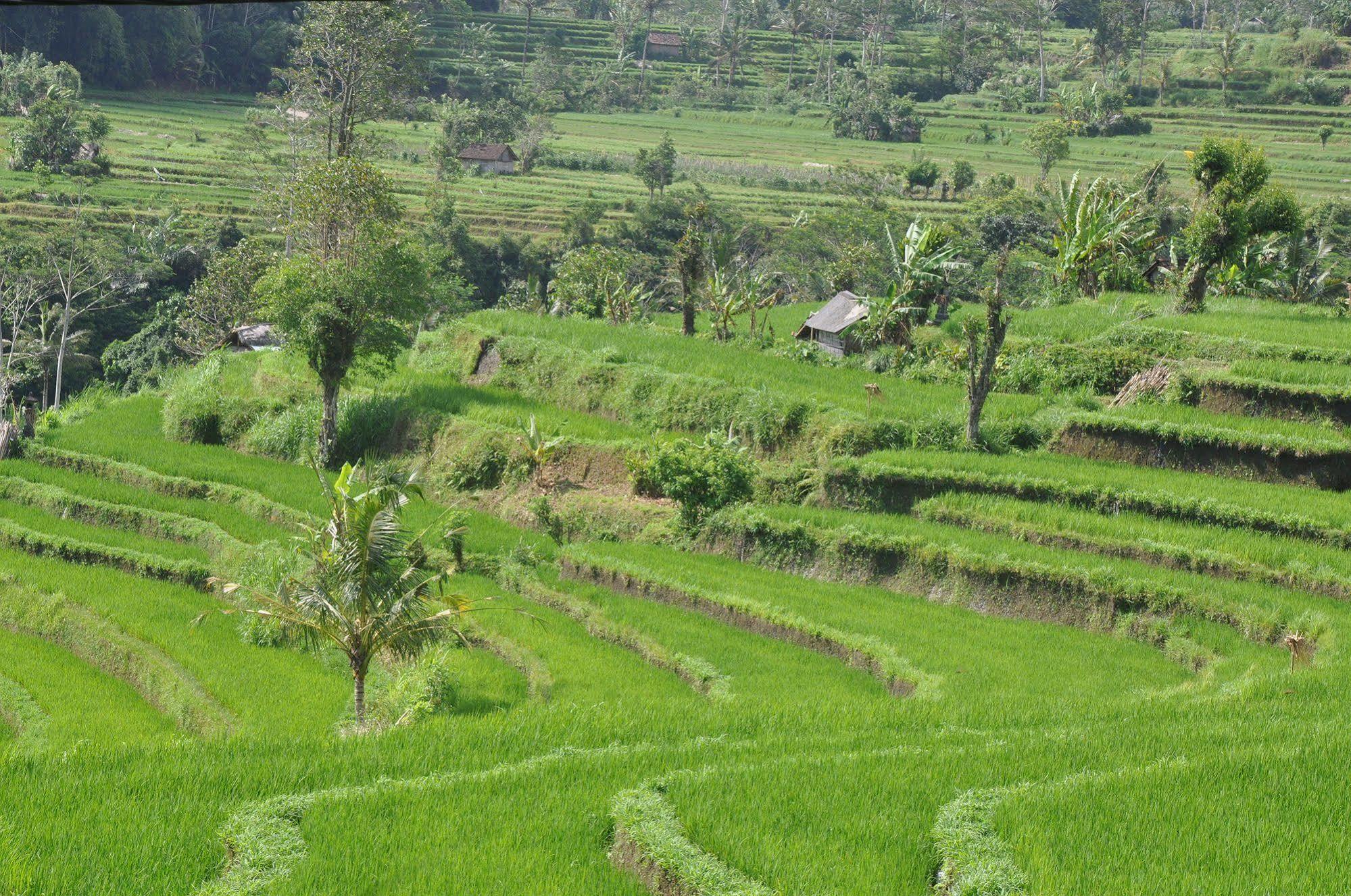 Uma Agung Villa Sidemen  Esterno foto