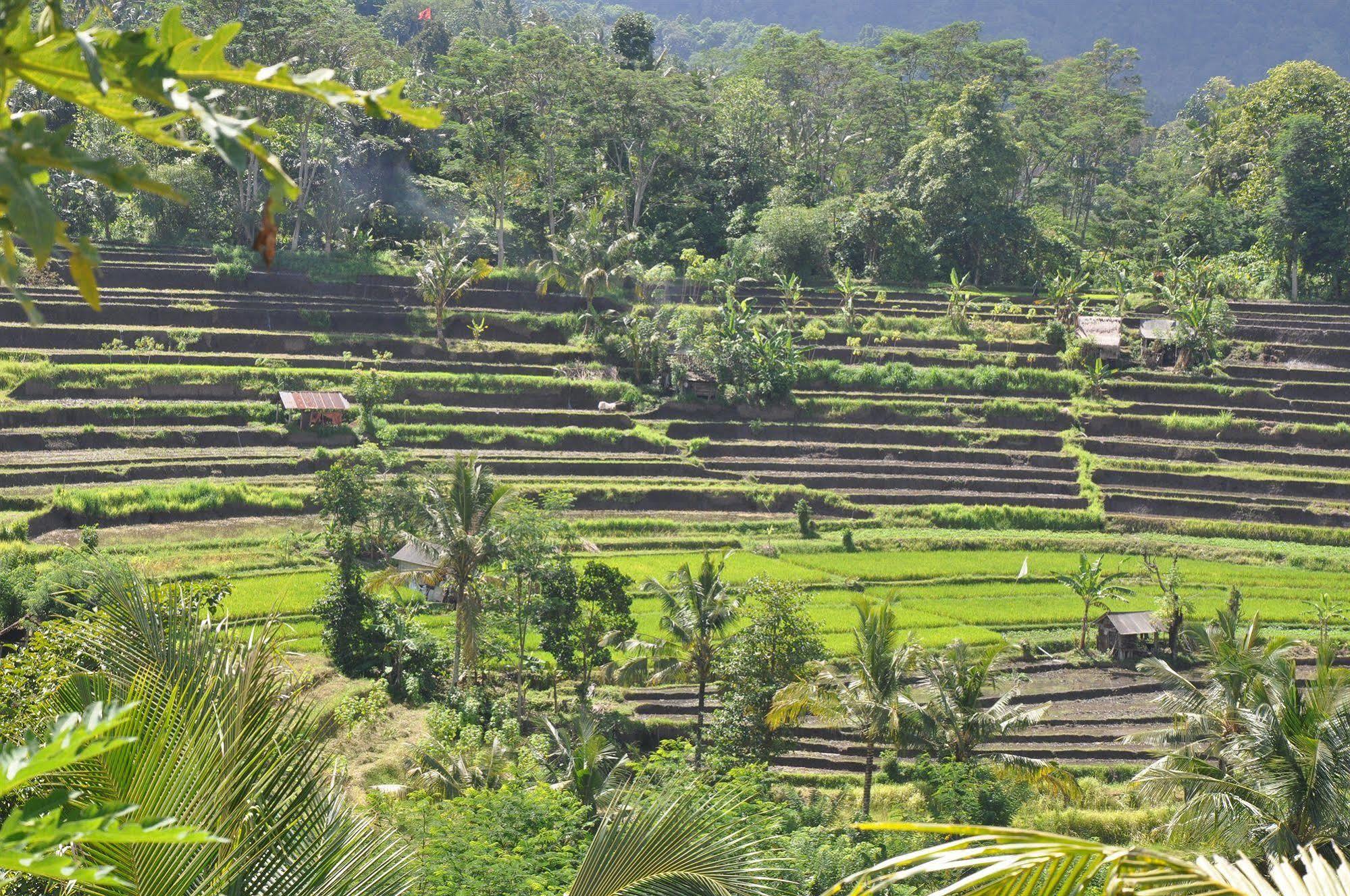 Uma Agung Villa Sidemen  Esterno foto